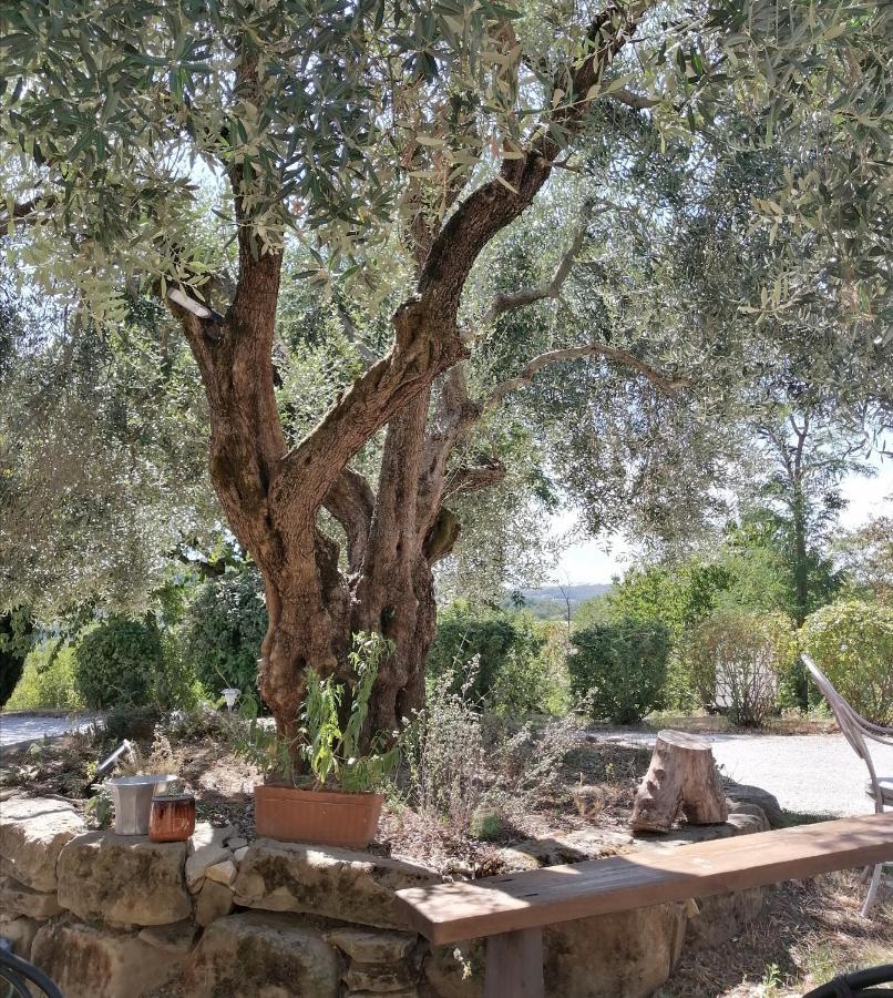 La Brocca Di Valdichiascio Villa กุบบีโอ ภายนอก รูปภาพ
